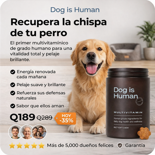 Dog is Human Multivitamin | Apoya la salud y energía de tu perro desde adentro
